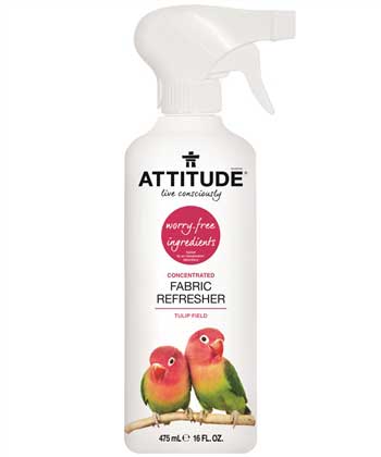 Fabric Refresher Concentrated - Tulip Field